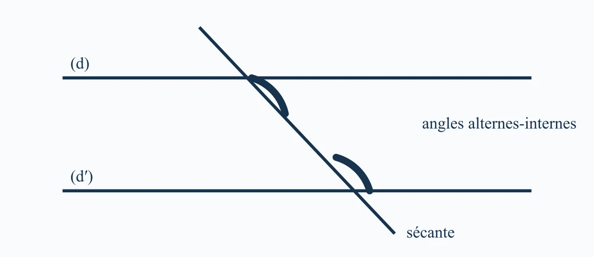 Angles formés par deux parallèles et une sécante