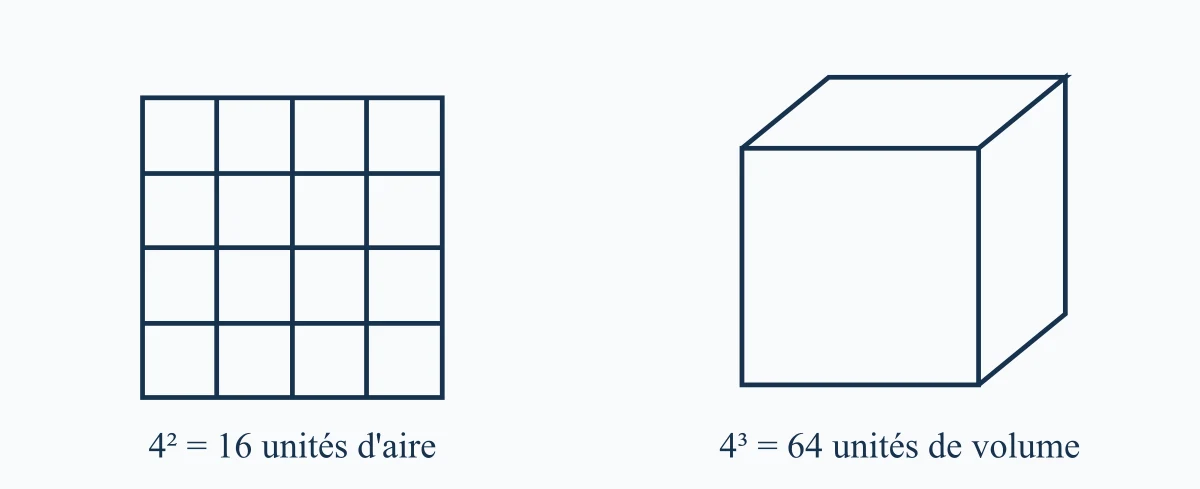 Carré et cube d'un nombre