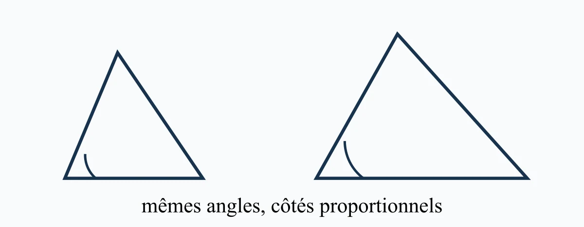 Deux triangles semblables de tailles différentes