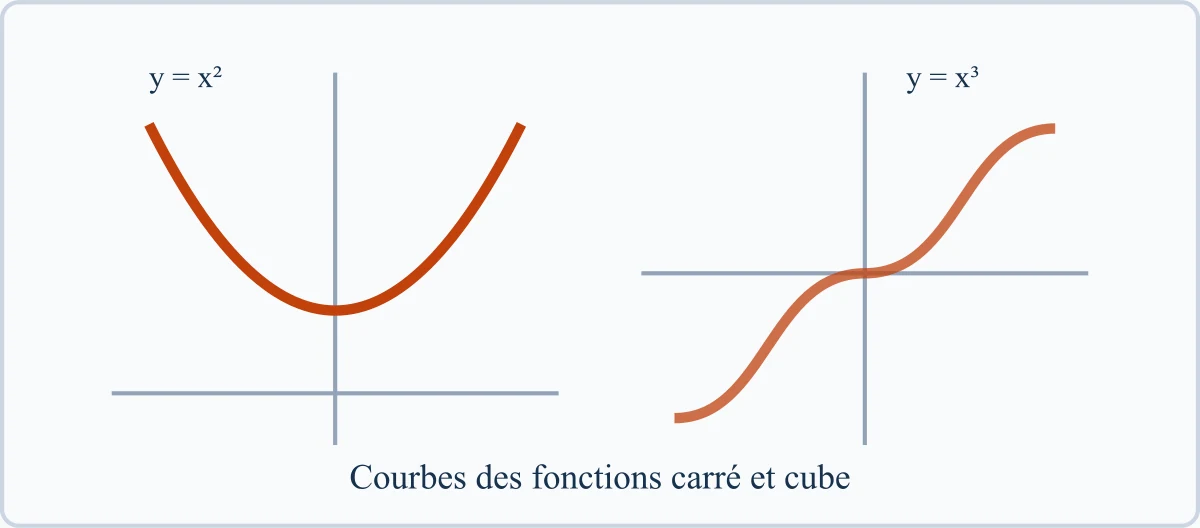 Courbes des fonctions carré et cube