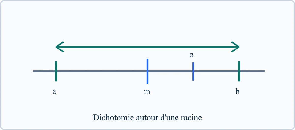 Dichotomie autour d'une racine