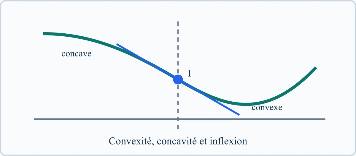Convexité, concavité et inflexion