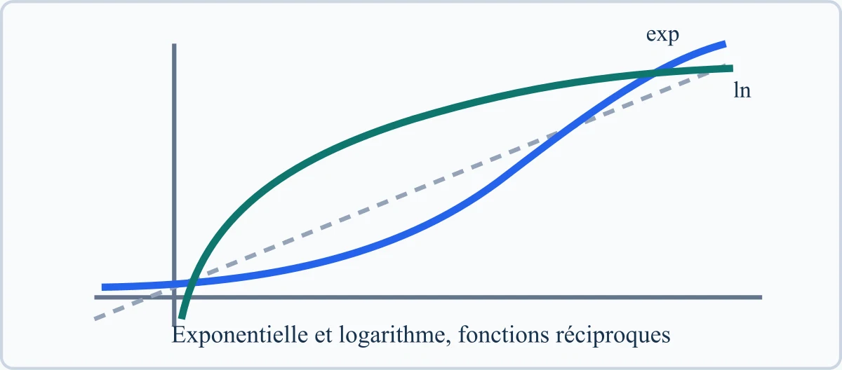 Exponentielle et logarithme, fonctions réciproques