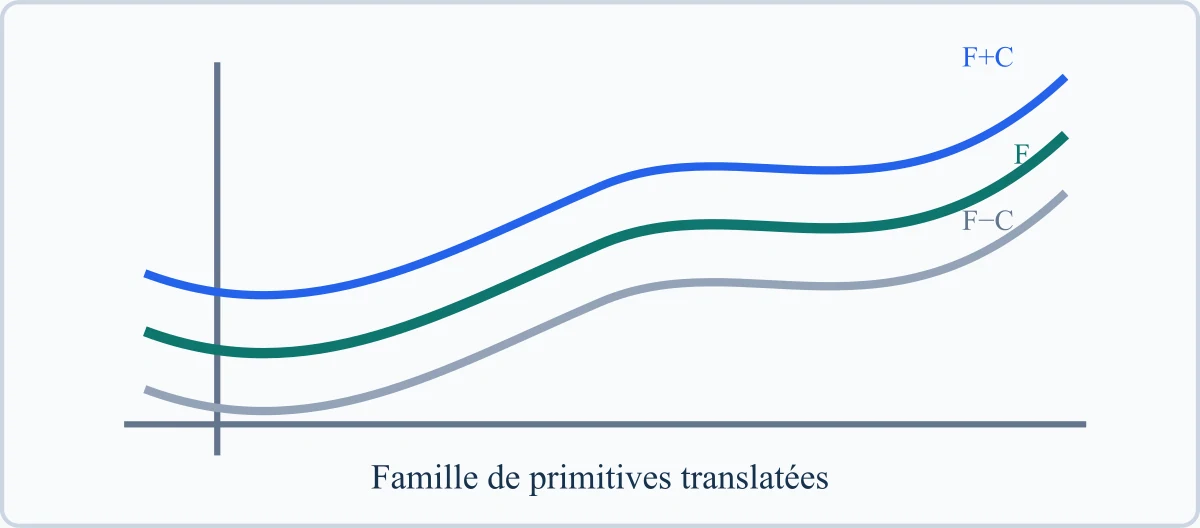 Famille de primitives translatées
