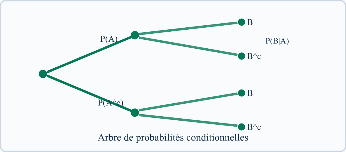 Arbre de probabilités conditionnelles