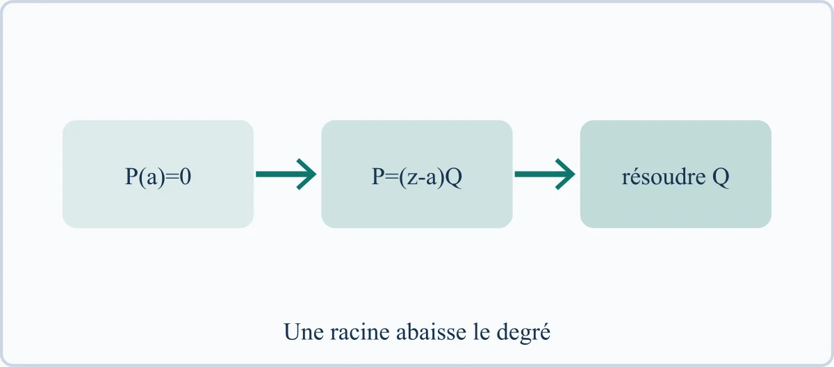 Une racine abaisse le degré