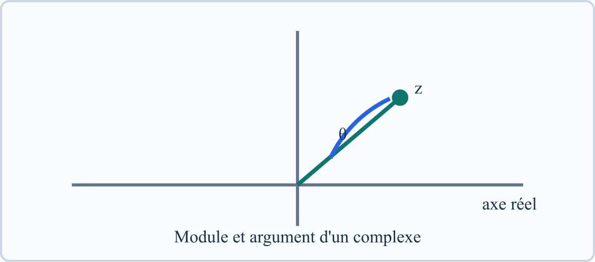 Module et argument d'un complexe