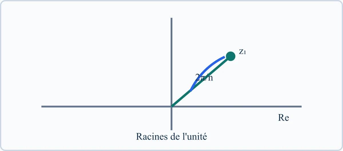 Racines de l'unité